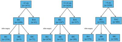 Nomogram Predicting Parametrial Involvement Based on the Radical Hysterectomy Specimens in the Early-Stage Cervical Cancer